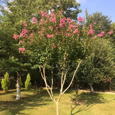 Sarikonaklar Garden Village Lantgård Ağva