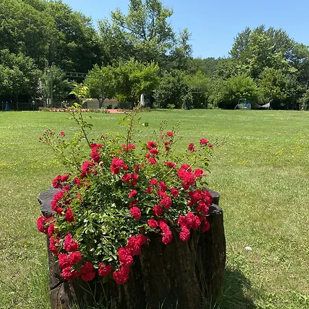 Lantgård Sarikonaklar Garden Village Ağva